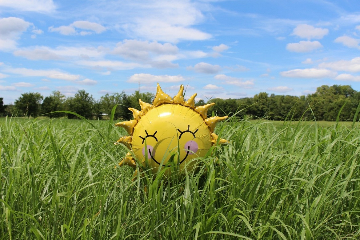 Smiling sun balloon in grass