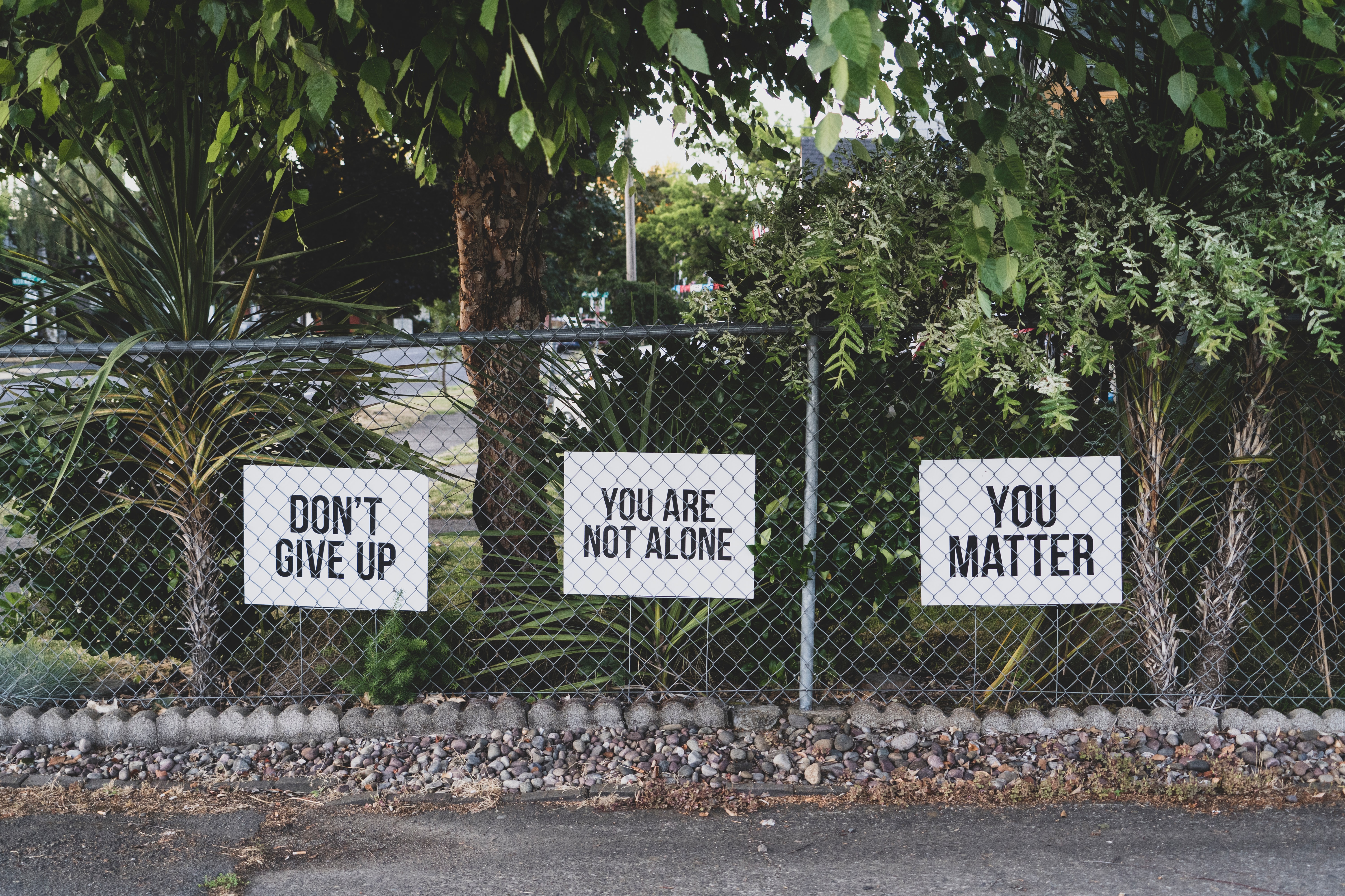 Signs hung on a fence that read "Don't Give Up," "You Are Not Alone," and "You Matter"