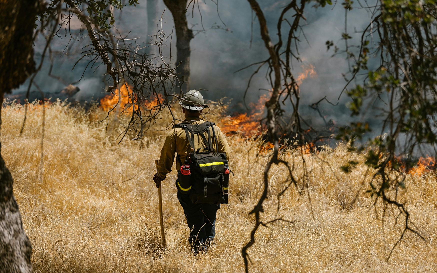 firefighter stands in burning forest