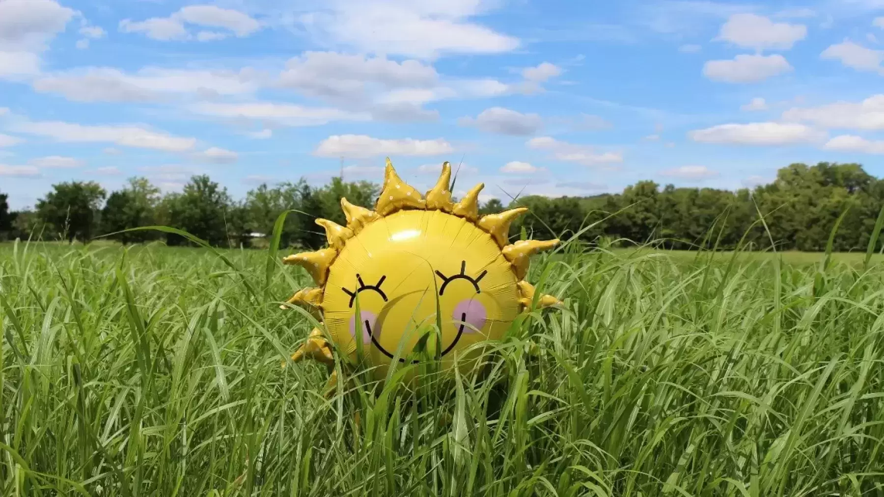 Smiling sun balloon in grass