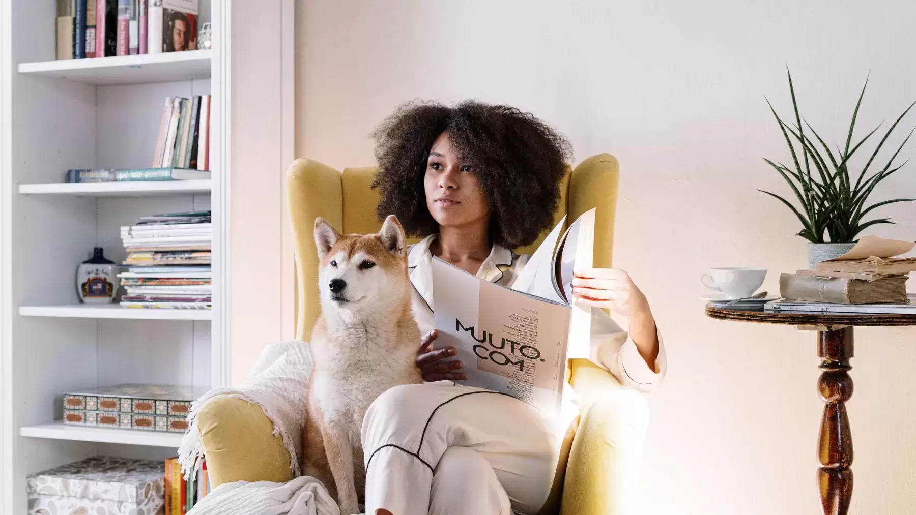 individual sits in a yellow chair reading a magazine with their dog, bookcase in background, table with plant on it to their side