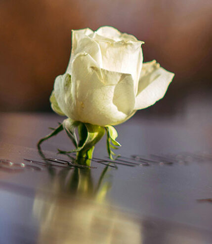 Make a memorial donation Image