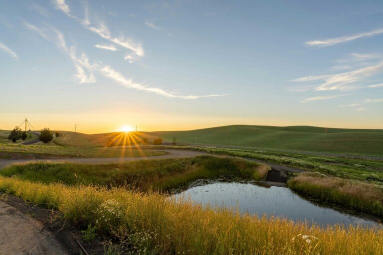 Confronting the impact of policy and legislation on rural mental health Image
