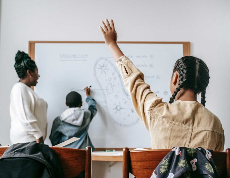 What schools can do Image