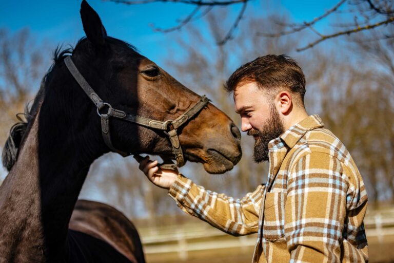 person nuzzles head against horse's nose