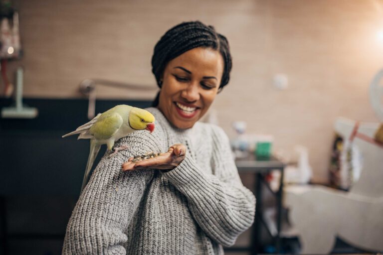 Strengthening the human-animal bond Image