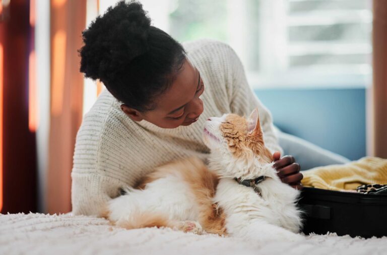 10 tips for finding a pet that meets your needs Image