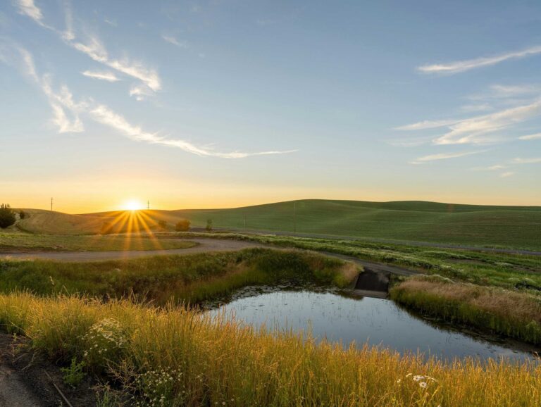 Rural mental health resource center Image